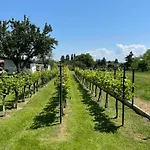 Bed & Breakfast Kukorica Csarda Balatonujlak