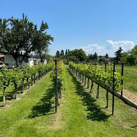 Bed & Breakfast Kukorica Csarda Balatonujlak