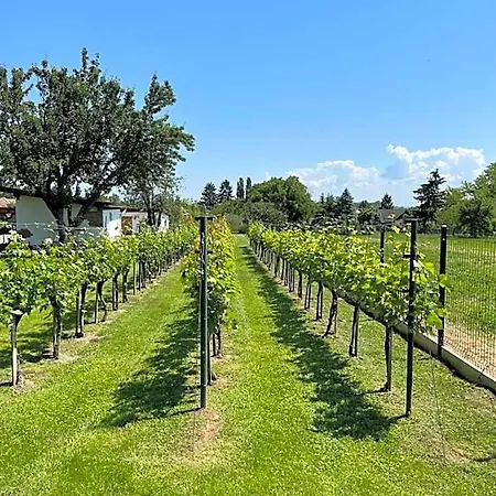 Kukorica Csárda
